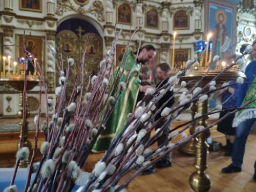 Осанна в вышних. Вход Господень в Иерусалим