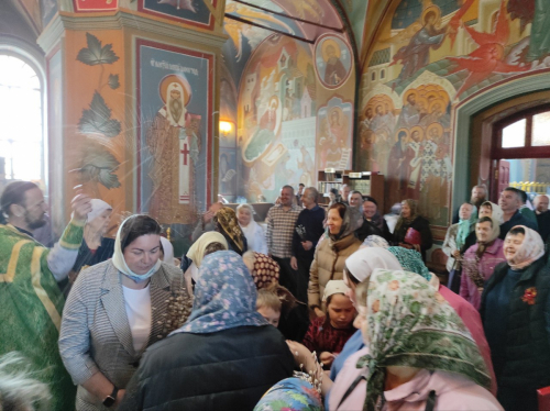 Вербное воскресенье. Неделя ваий