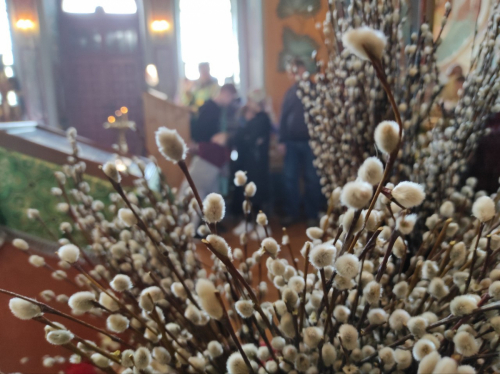 Вербное воскресенье. Неделя ваий