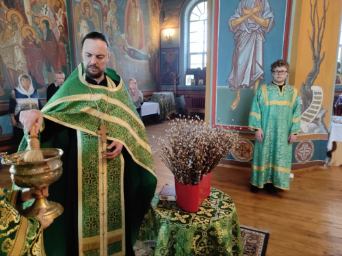 Вербное воскресенье. Неделя ваий