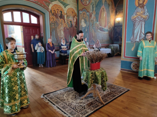 Вербное воскресенье. Неделя ваий