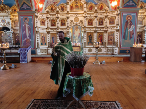 Вербное воскресенье. Неделя ваий