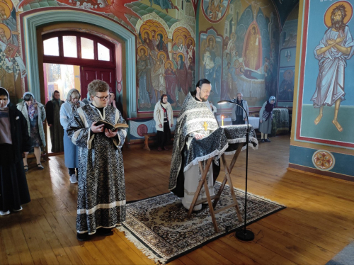 photo 2024-05-03 21-12-51