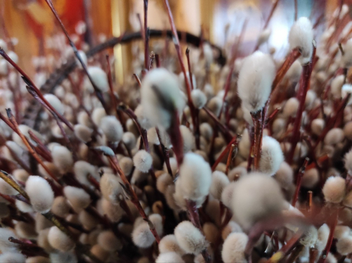 С праздником Входа Господня в Иерусалим!