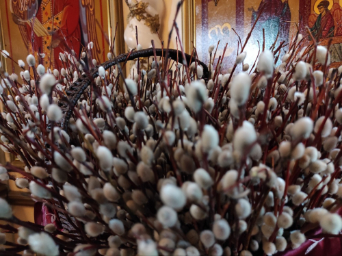 С праздником Входа Господня в Иерусалим!