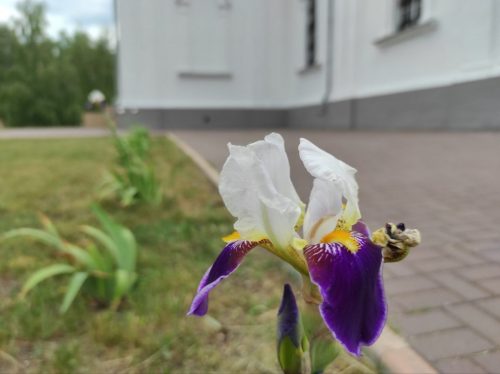 Поминовение усопших в Троицкую родительскую субботу